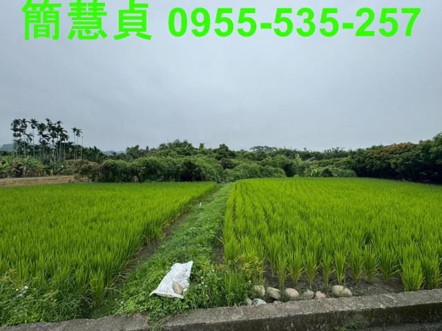南投草屯農地-3