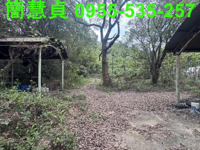 南投草屯農地_山坡地-2