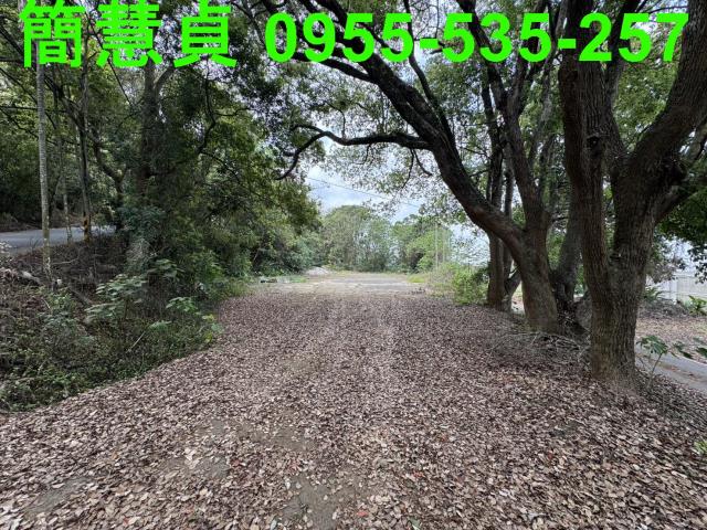 南投草屯農地_山坡地-5