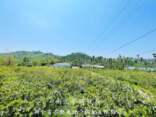 嘉義梅山農地-2