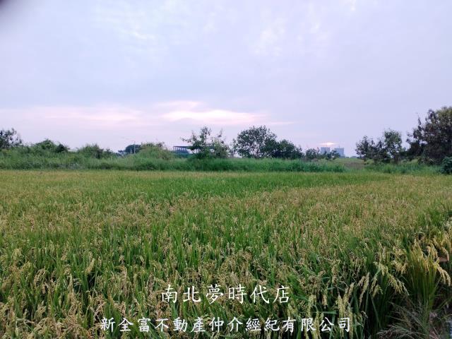 台南仁德農地-1