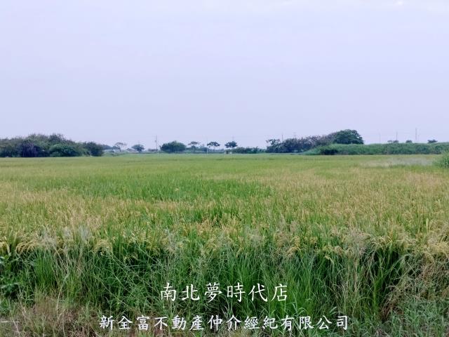 台南仁德農地-3