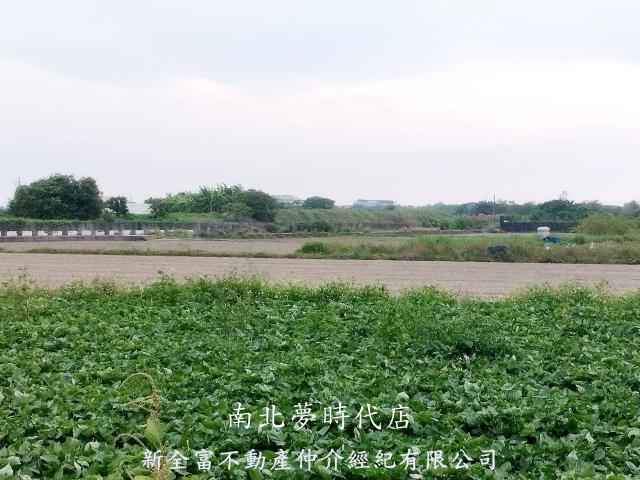 台南仁德農地-6