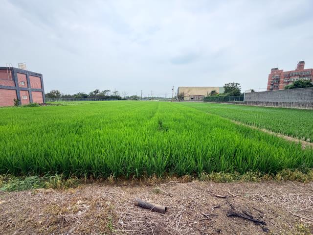 觀音農地-0