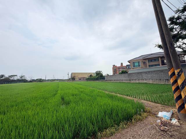 觀音農地-5