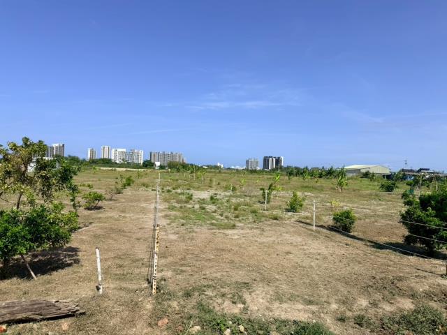 仁德農地-3