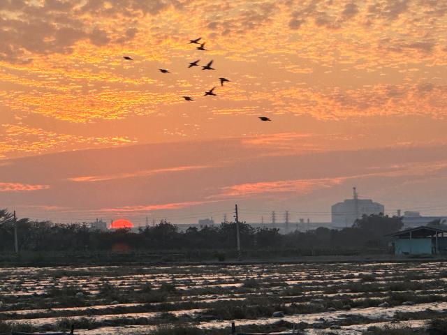 橋頭農地-10