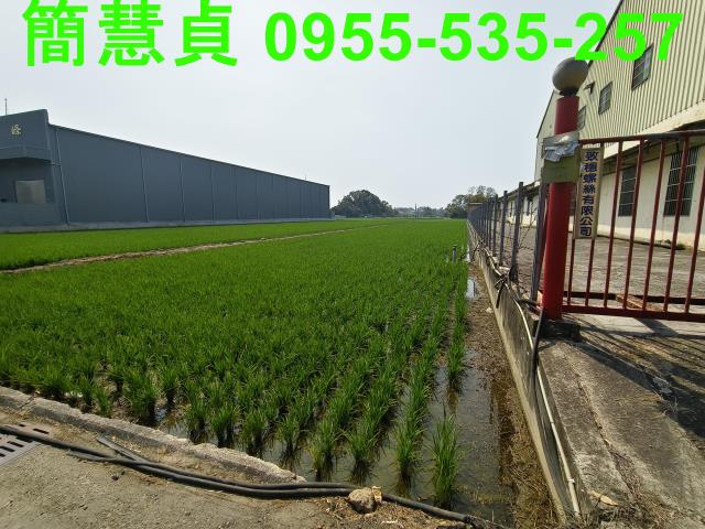 大里農地-2