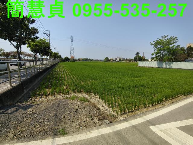 大里農地-4