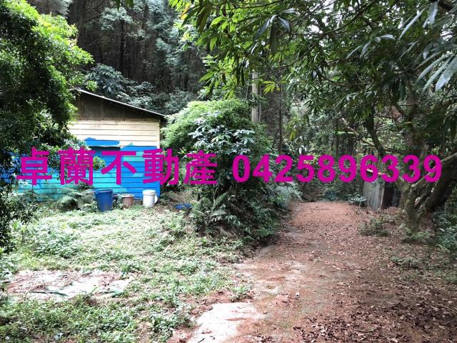 卓蘭林地-2