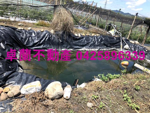 苗栗農地-9