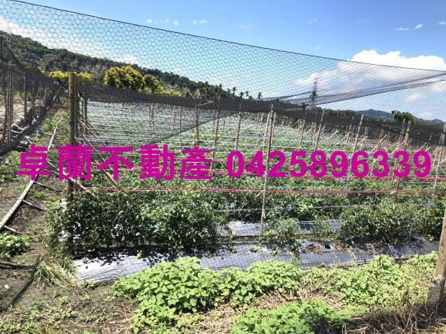 苗栗農地-6