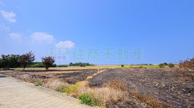 屏東農地-8