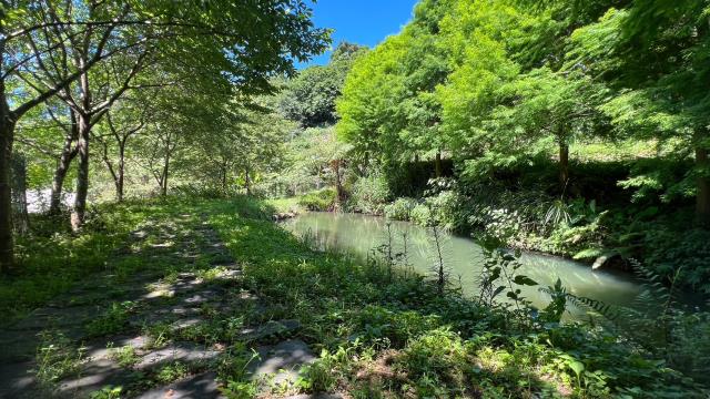 新竹農地_建地_山坡地-12