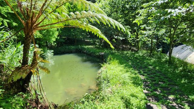 新竹農地_建地_山坡地-14