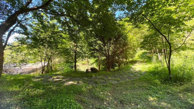 新竹農地_建地_山坡地-15