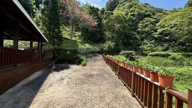 新竹農地_建地_山坡地-4