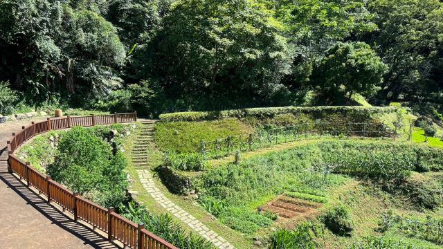 新竹農地_建地_山坡地-5