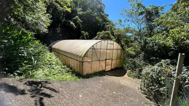 新竹農地_建地_山坡地-7