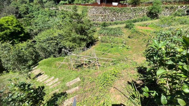 新竹農地_建地_山坡地-8