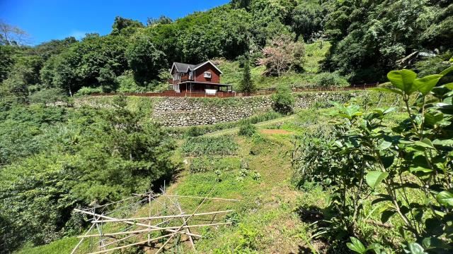 新竹農地_建地_山坡地-9