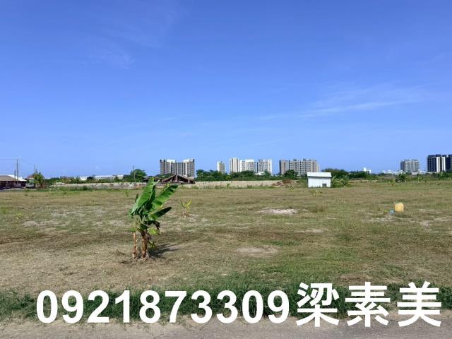 台南仁德農地-7