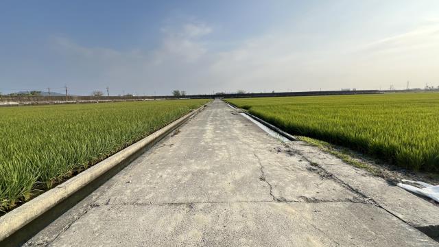 高雄路竹農地-9