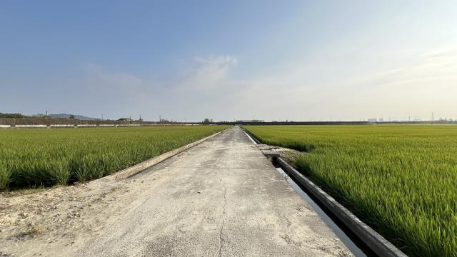 高雄路竹農地-7