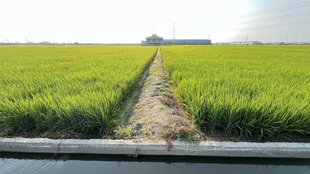 高雄路竹農地-14