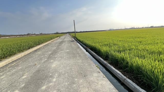 高雄路竹農地-15