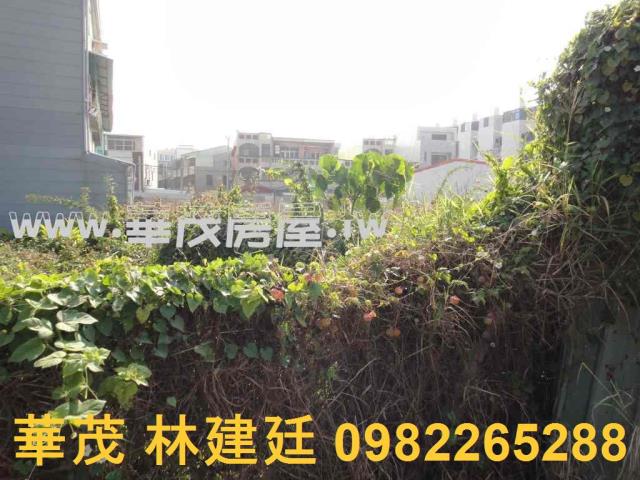 台南學甲法拍建地-6