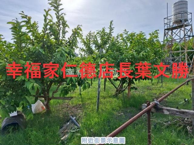 台南永康農地-13