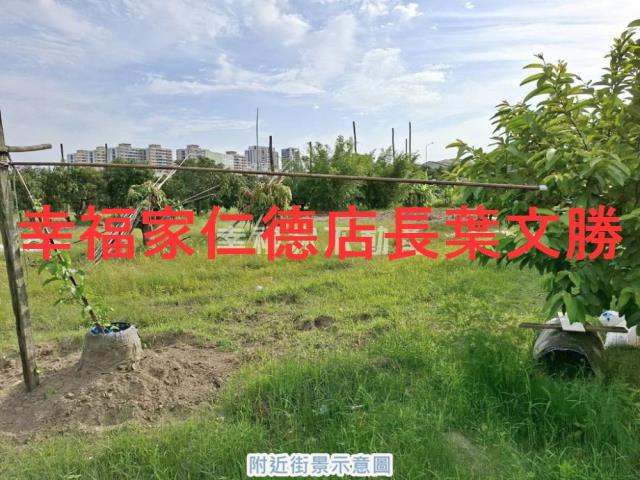 台南永康農地-8