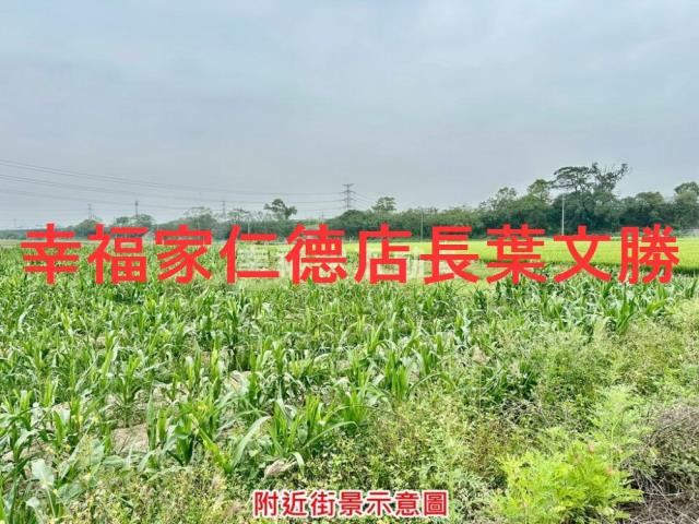 台南善化農地-0