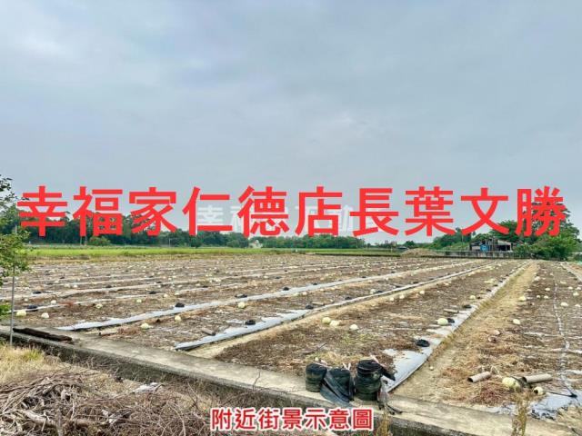 台南善化農地-2