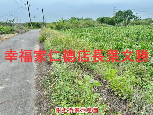 台南善化農地-3