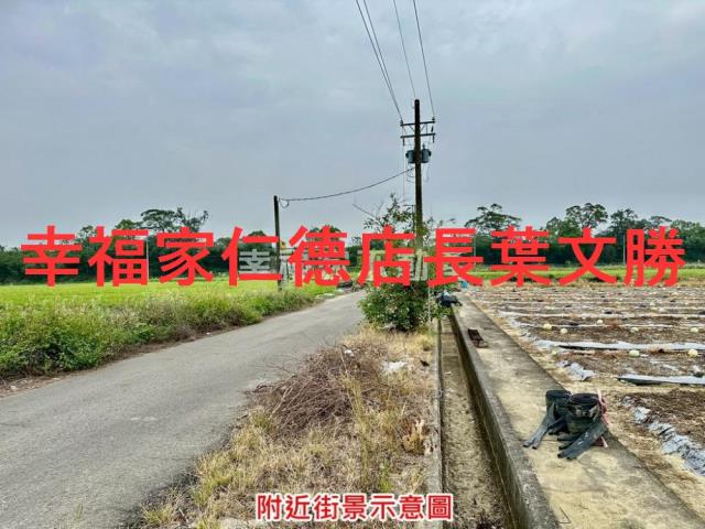 台南善化農地-4