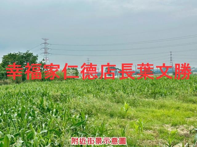 台南善化農地-7