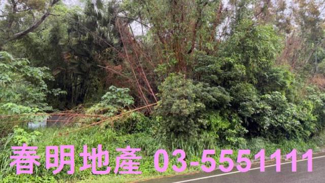 新竹芎林農地-1
