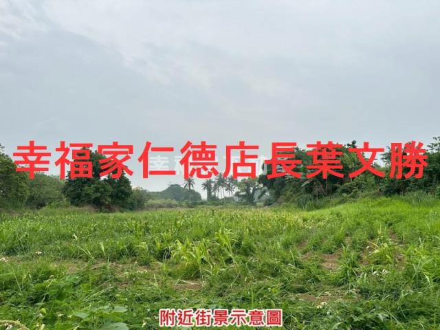 善化農地-10