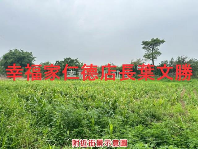 善化農地-4