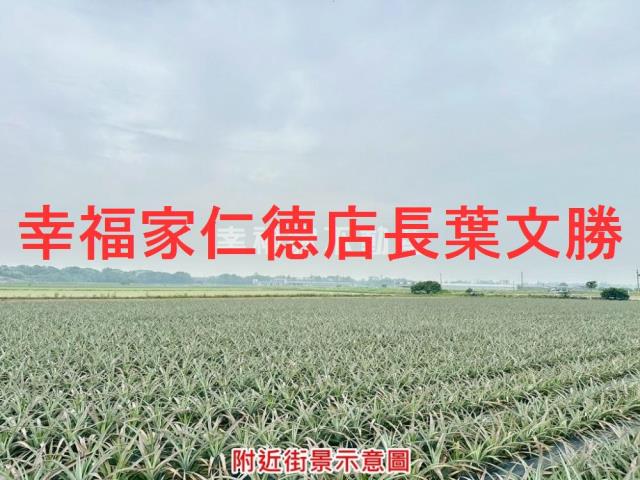 新市農地-10