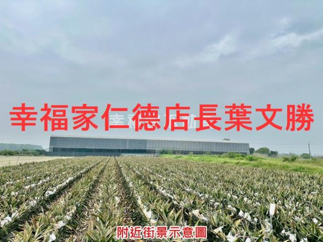 新市農地-3