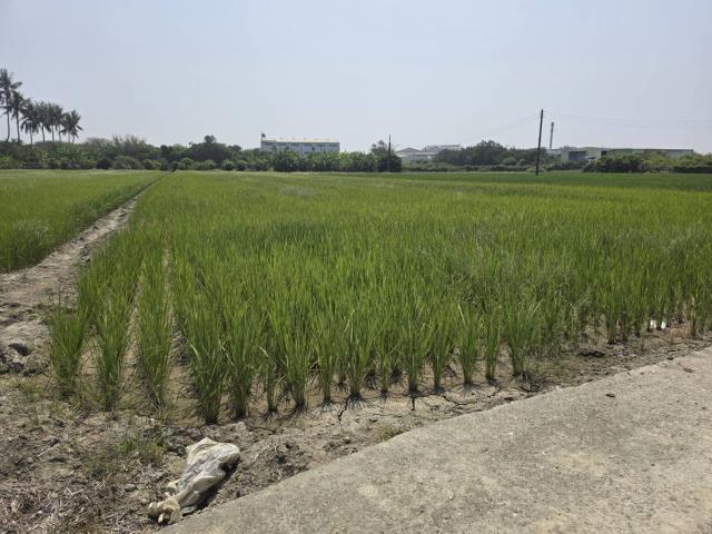 岡山農地-11