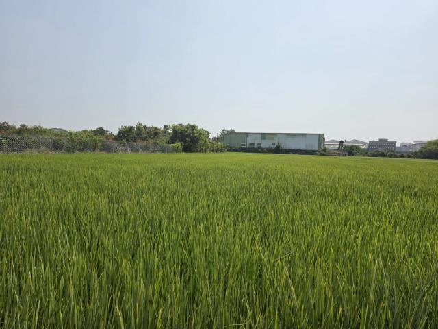 岡山農地-2