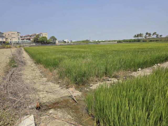 岡山農地-7