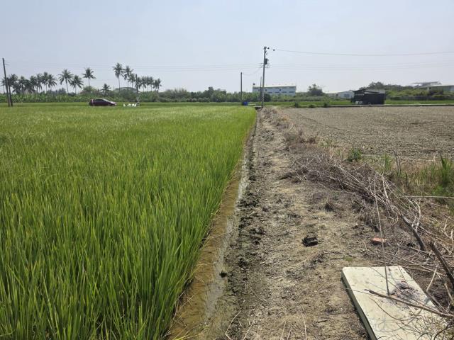 岡山農地-6