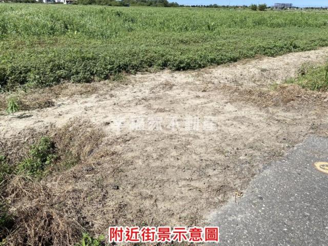 七股農地-2