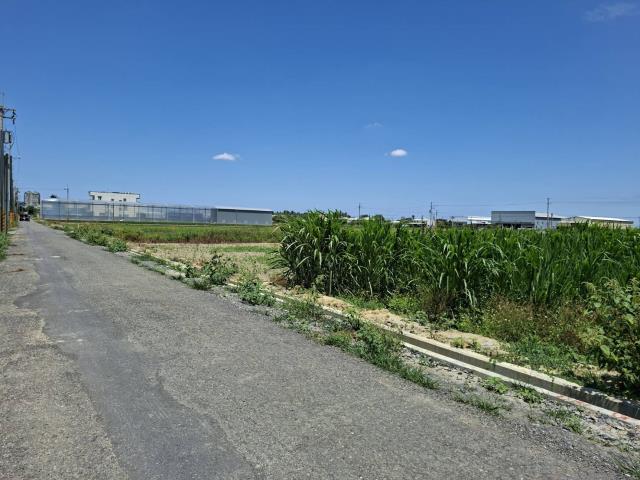 歸仁農地-3