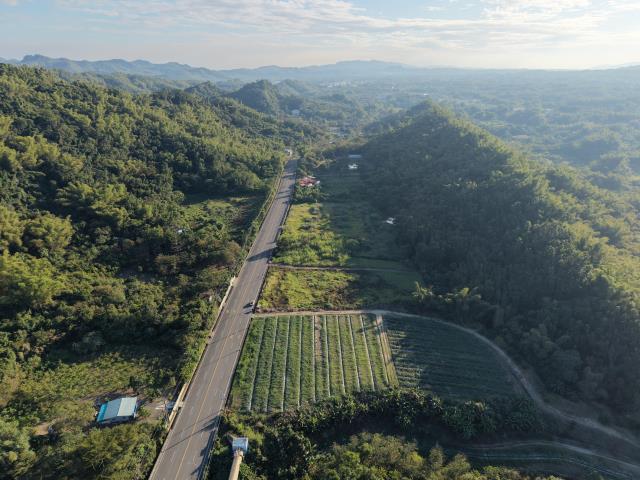 內門農地-2